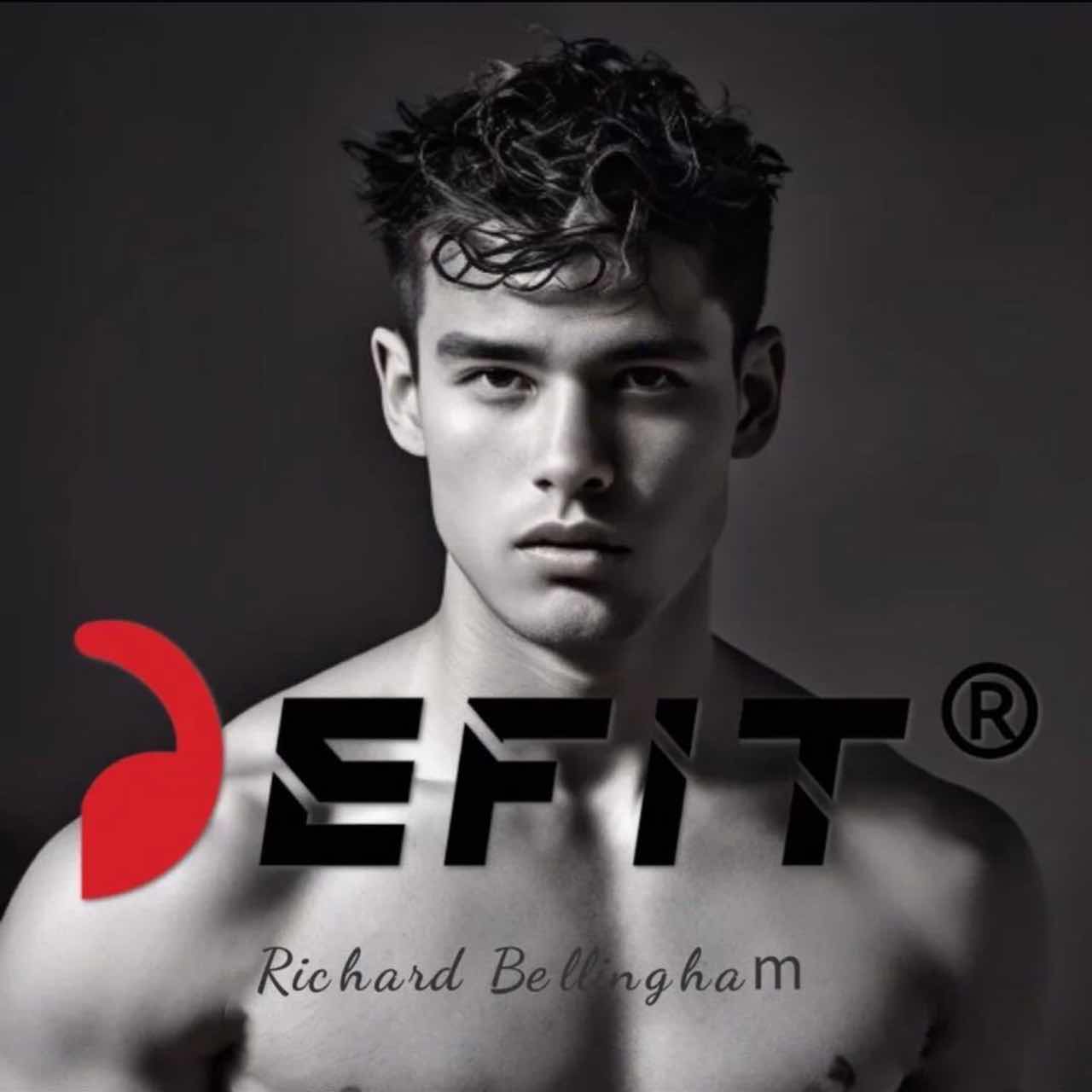 关于DEFIT